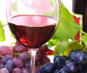 Sustainable Organic Wine Testing