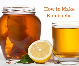 Kombucha Recipe - Sophia Natural Health