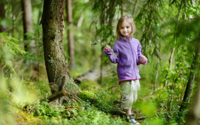 Can Walking In The Woods Really Help Your Body?