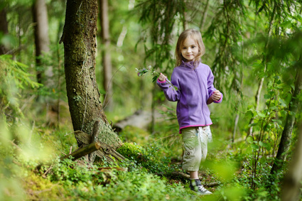 Can Walking In The Woods Really Help Your Body?