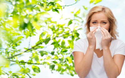 4 Natural Remedies For Allergy Relief