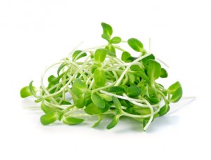 Sunflower Sprouts - Sophia Natural Health