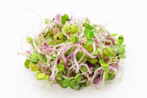 Alfalfa sprouts - Sophia Natural Health