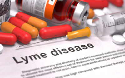 NEW NEWS YET AGAIN ABOUT THE FAILURE OF ANTIBIOTIC THERAPY FOR LYME DISEASE