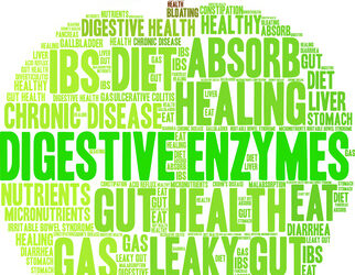 Strengthen Your Digestive Health