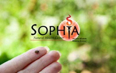Nice Warm Day? Time Again To Think About Ticks And Lyme Disease