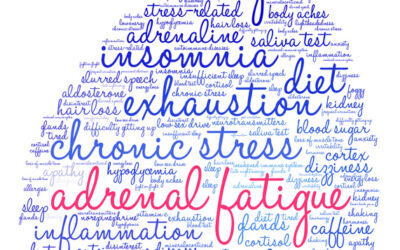Adrenal Fatigue