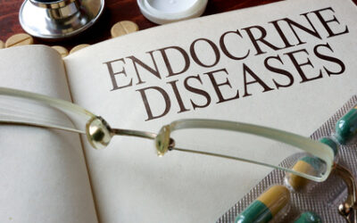 Enhance your Endocrine Health with Acupuncture –  Qi Mail™