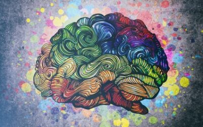 Nourish, Stimulate, and Calm Your Brain –  Qi Mail™ Newsletter