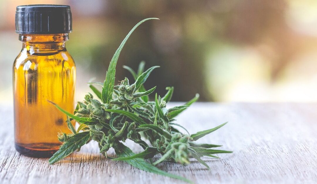Will We See the Regulation of LEGAL CBD?